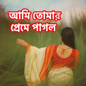 Tomar Pagol Ami