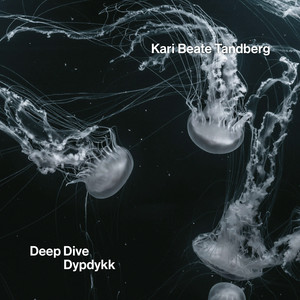 Deep Dive / Dypdykk