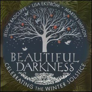 Beautiful Darkness: Celebrating the Winter