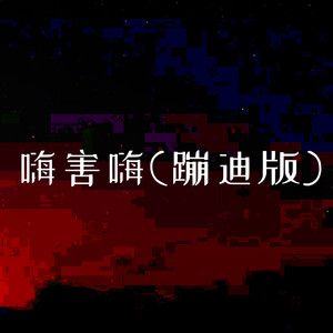 嗨害嗨 (蹦迪版)