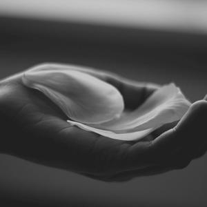 Petals on the Floor (Explicit)