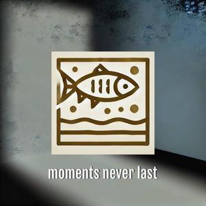 moments never last (feat. SOULFLVR)