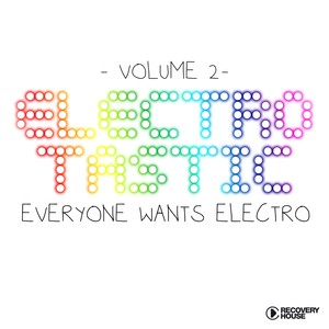 Electrotastic Vol. 2 (Everyone Wants Electro)