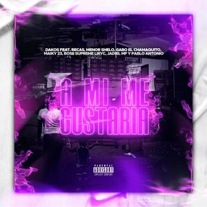 A Mi me gustaria(feat. recas, menor shelo, gabo el chamaquito, maiky 23, boss supreme liryc, jadiel mf & pablo antonio)