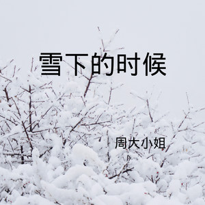 野狼disco-周大小姐