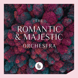 The Romantic and Majestic Orchestra