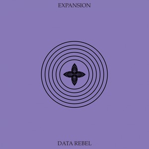 Data Rebel - Unleashed (Original)
