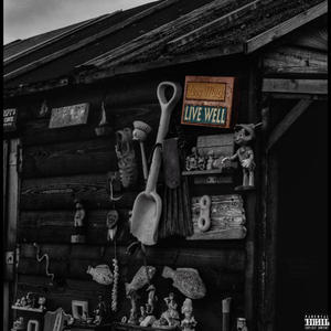 livewell (feat. BIGVHS) [Explicit]