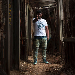 Lynell Simmons (Explicit)