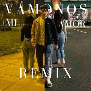 Vamonos mi amor (feat. sreft.) [sreft. remix]