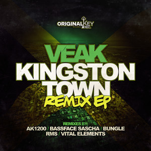 I Need You (Vital Elements Remix)