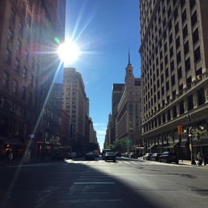 Sunlight on 5th Avenue