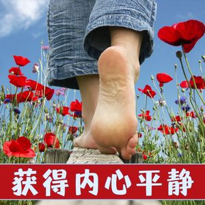 获得内心平静 – 冥想瑜伽，让放松的瑜伽音乐