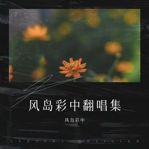 风岛彩中 - 冷战 (Live)