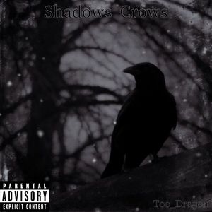 Shadows Crows (Explicit)