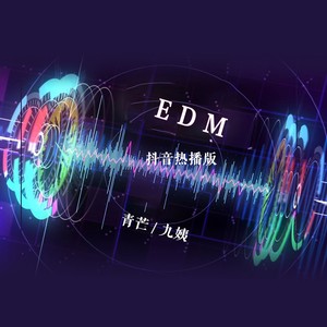 EDM（抖音热播版）