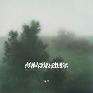 薄荷封面