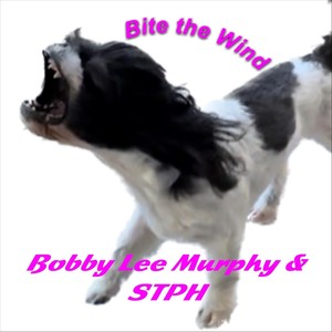 Protected by the Plan