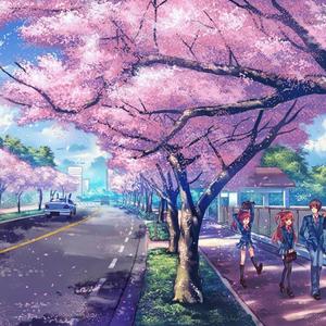 桜の花びらたち