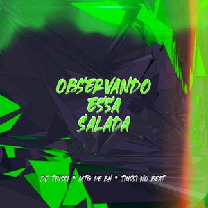 MT OBSERVANDO ESSA SALADA (Explicit)