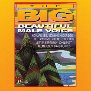 The Big, Beautiful Male Voice