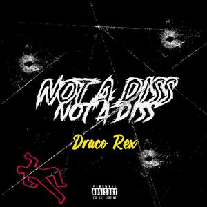 Not a Diss (Explicit)