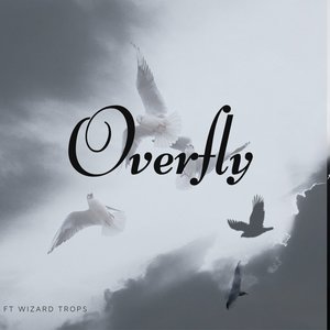 OverFly (Explicit)