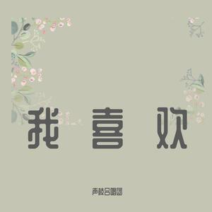 我喜欢 声枝合唱团