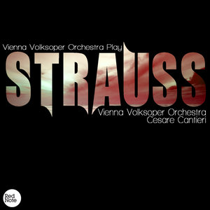 Strauss: Vienna Volksoper Orchestra Play