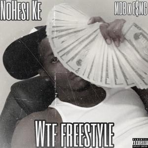 WTF Freestyle (Explicit)