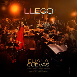 Llegó