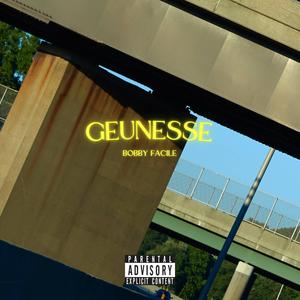 GEUNESSE (Explicit)