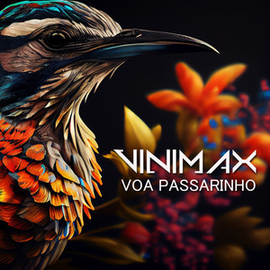 Voa passarinho