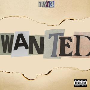 Wanted (Explicit)