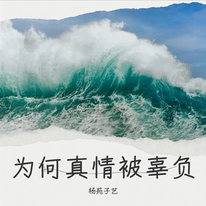 为何真情被辜负