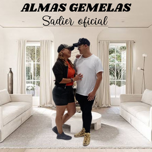 almas gemelas