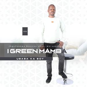 Lomuntu Engimkhethile