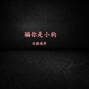 骗你是小狗