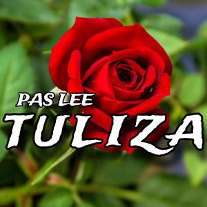 Tuliza (feat. Pas Lee)