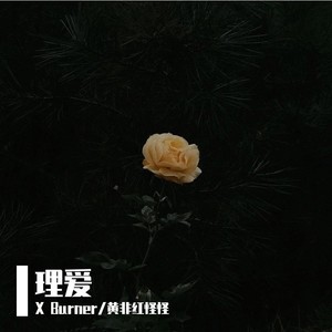 理爱 (Prod by LMY_768&LV9)