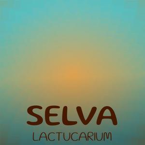 Selva Lactucarium