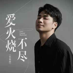 张偲偲 - 爱火烧不尽