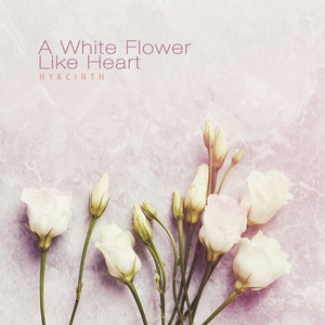 하얀 꽃 같은 마음 (A White Flower Like Heart)