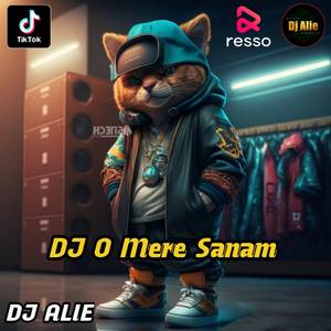 DJ O MERE SANAM INS