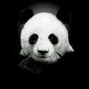 【FREE】“Difficult to Say“-Instrumental