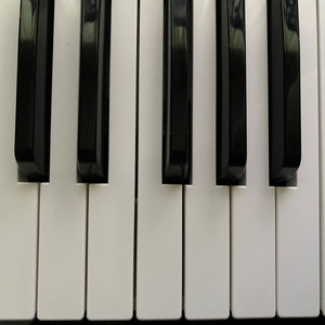 Artgenossen (Explicit)