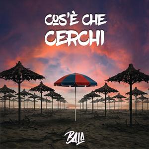 Cos'è che cerchi