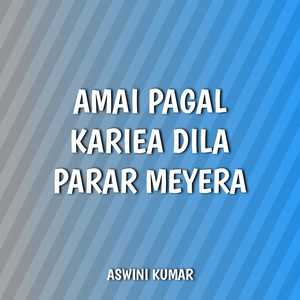 Amai Pagal Kariea Dila Parar Meyera