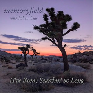 (I've Been) Searchin' So Long [feat. Robyn Cage]