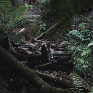 induratize (Explicit)